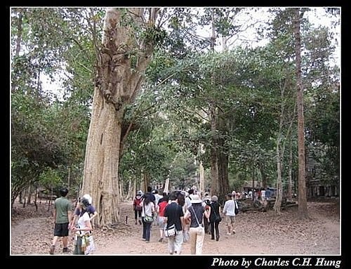 微笑高棉–Day 4–塔普倫廟 - 第2張圖 微笑高棉–Day 4–塔普倫廟