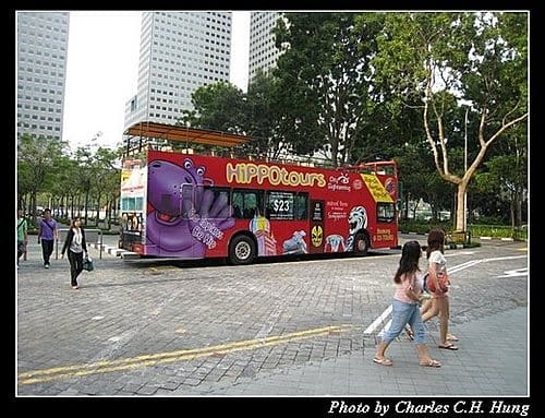 新加坡印尼–交通工具