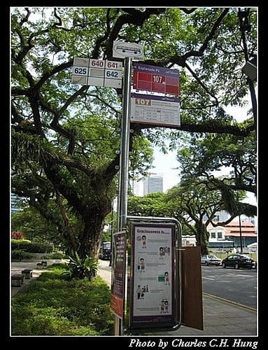 新加坡印尼–交通工具