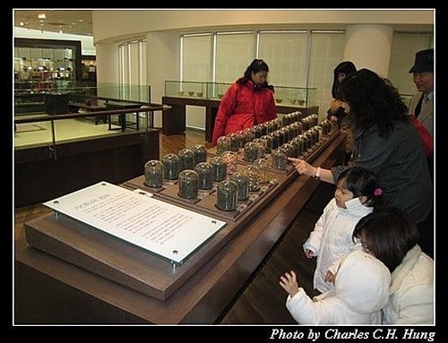 韓國濟州島–Day 02–雪綠茶展示館