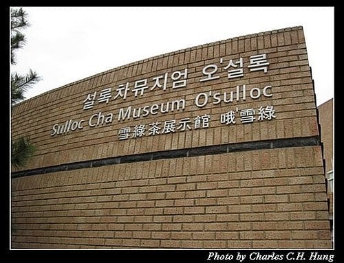 韓國濟州島–Day 02–雪綠茶展示館