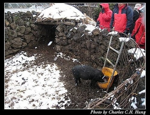 韓國濟州島–Day 03–城邑民俗村 - 第10張圖 韓國濟州島–Day 03–城邑民俗村