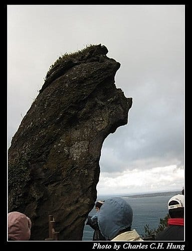 韓國濟州島–Day 03–城山日出峰 - 第7張圖 韓國濟州島–Day 03–城山日出峰