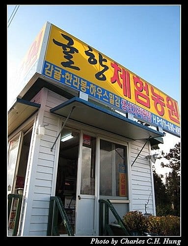韓國濟州島–Day 03–濟州小橘子 - 第2張圖 韓國濟州島–Day 03–濟州小橘子