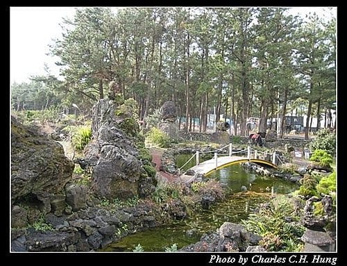 韓國濟州島–Day 04–盆栽園 - 第1張圖 韓國濟州島–Day 04–盆栽園