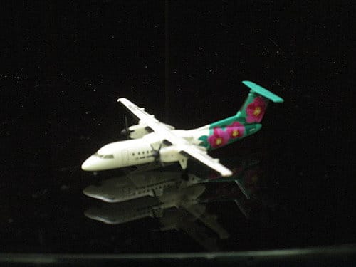A-net DHC8-300虞美人彩繪機