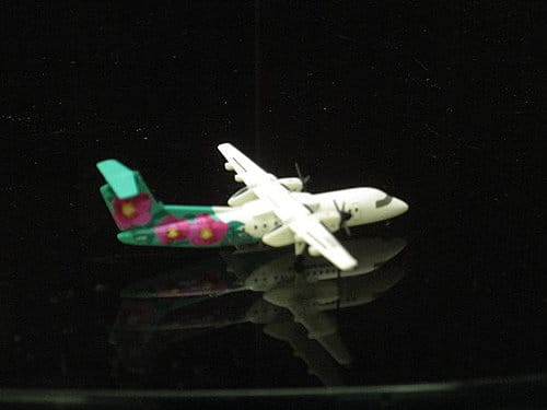 A-net DHC8-300虞美人彩繪機