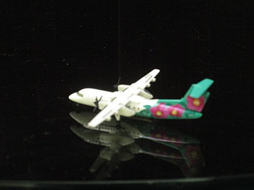 A-net DHC8-300虞美人彩繪機
