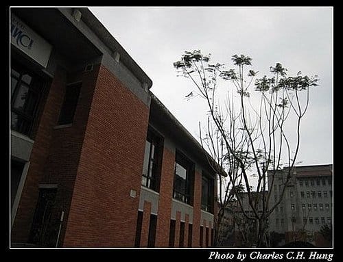 台北市–藝大咖啡館 - 第9張圖 台北市–藝大咖啡館