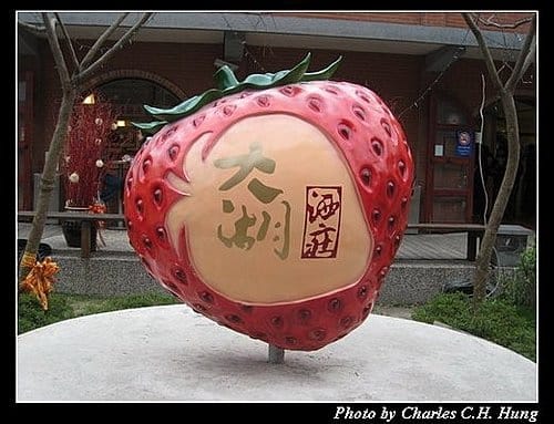 苗栗大湖–大湖草莓文化館