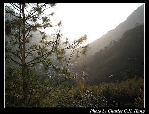 苗栗泰安–竹美山閣–日景 - 第21張圖 苗栗泰安–竹美山閣–日景