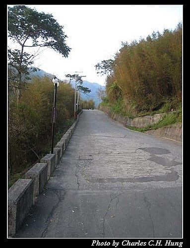 苗栗泰安–竹美山閣–如何去