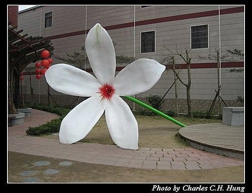 苗栗大湖–大湖草莓文化館