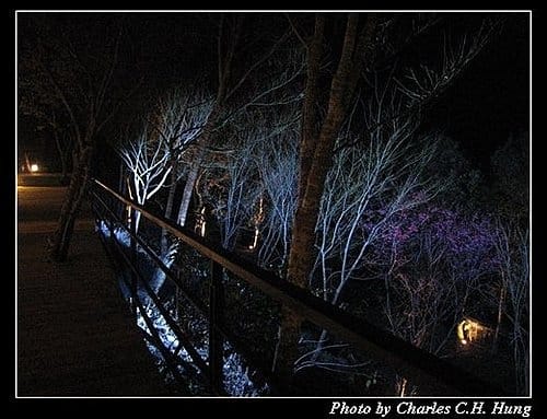 苗栗泰安–竹美山閣–夜景 - 第5張圖 苗栗泰安–竹美山閣–夜景