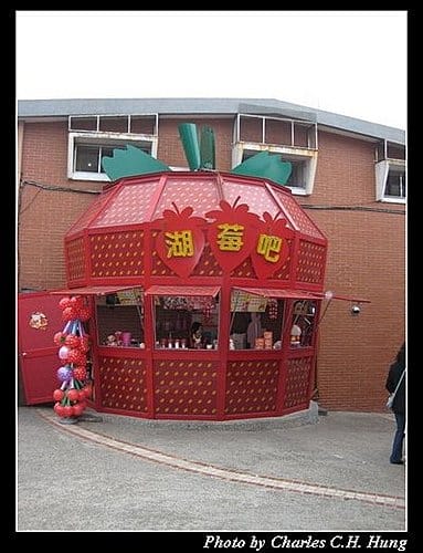 苗栗大湖–大湖草莓文化館