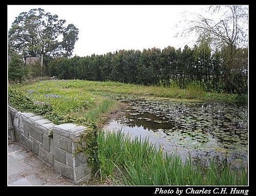 苗栗卓蘭–Vilavilla–花卉