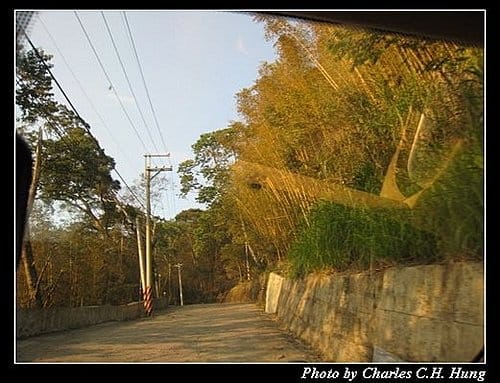 苗栗泰安–竹美山閣–如何去