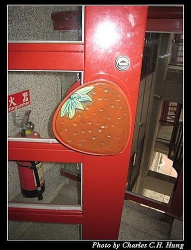 苗栗大湖–大湖草莓文化館