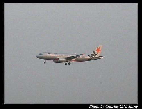 大埔橋賞機–趴兔 - 第9張圖 大埔橋賞機–趴兔