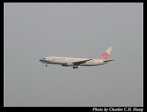 大埔橋賞機–趴兔 - 第6張圖 大埔橋賞機–趴兔