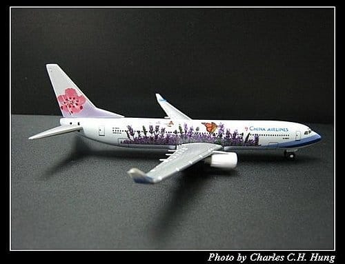 中華航空 B737-800薰衣草彩繪機