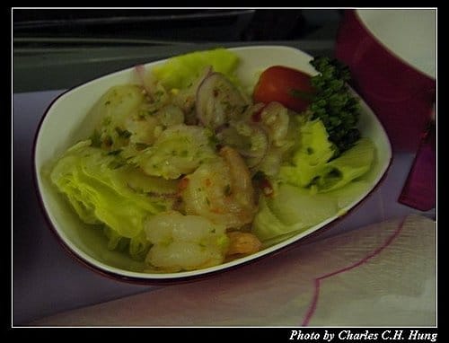 希臘愛琴海–Day 1–飛機餐：晚餐