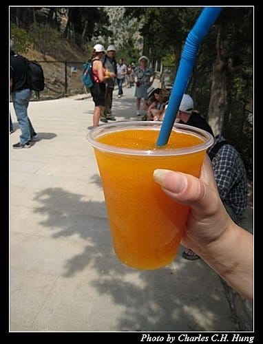 希臘愛琴海–Day 2–德耳菲博物館