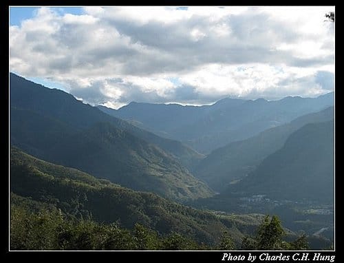 桃園復興–綠光森林
