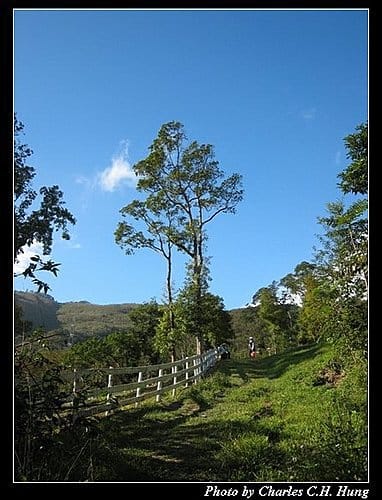 桃園復興–綠光森林