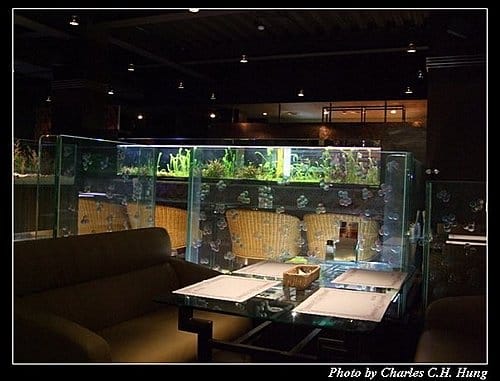 新竹竹北–玫瑰家園(已結束營業) - 第6張圖 新竹竹北–玫瑰家園(已結束營業)
