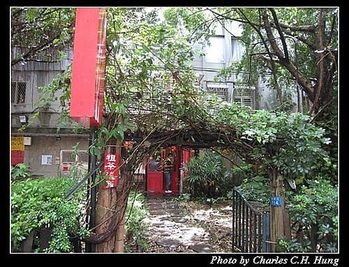台北市–吉祥草