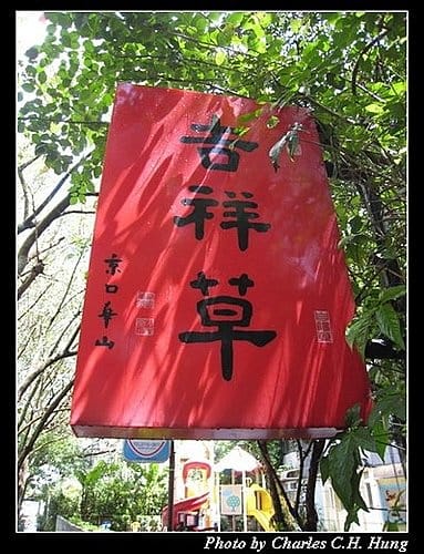 台北市–吉祥草