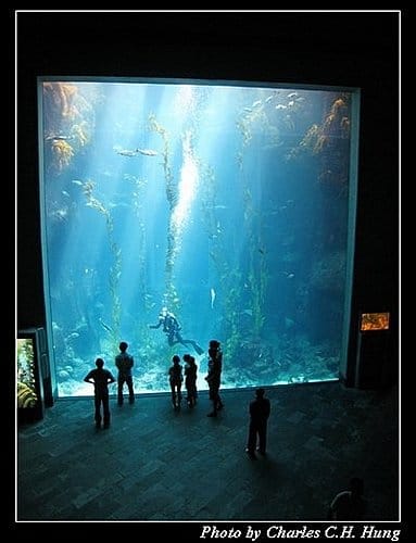 屏東墾丁–海洋生物博物館 - 第57張圖 屏東墾丁–海洋生物博物館