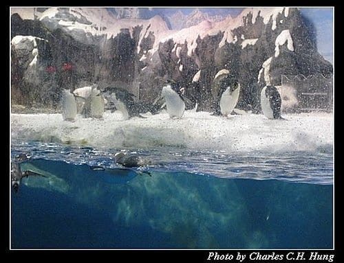 屏東墾丁–海洋生物博物館 - 第61張圖 屏東墾丁–海洋生物博物館