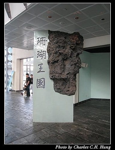 屏東墾丁–海洋生物博物館 - 第23張圖 屏東墾丁–海洋生物博物館