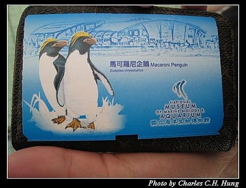 屏東墾丁–海洋生物博物館 - 第4張圖 屏東墾丁–海洋生物博物館
