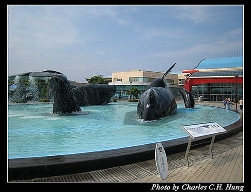 屏東墾丁–海洋生物博物館 - 第19張圖 屏東墾丁–海洋生物博物館