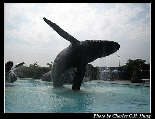 屏東墾丁–海洋生物博物館 - 第20張圖 屏東墾丁–海洋生物博物館