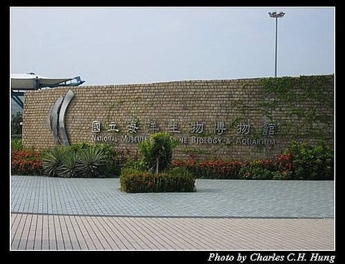 屏東墾丁–海洋生物博物館 - 第2張圖 屏東墾丁–海洋生物博物館