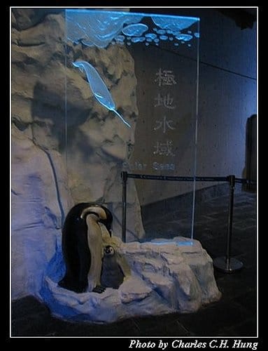 屏東墾丁–海洋生物博物館 - 第58張圖 屏東墾丁–海洋生物博物館
