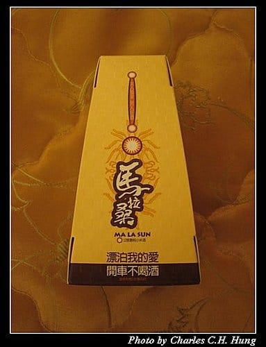 南投日月潭–夜拍