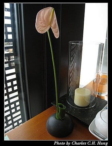 南投日月潭–涵碧樓東方餐廳下午茶