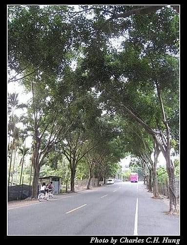 集集車站紀實