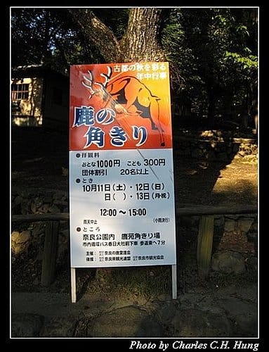 日本浪漫四都–Day 1–奈良公園