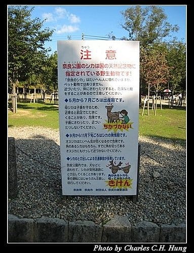 日本浪漫四都–Day 1–奈良公園