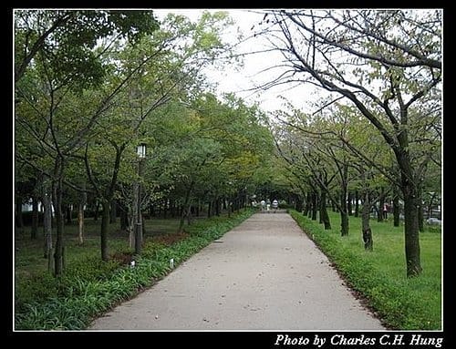 日本浪漫四都–Day 4–大阪城公園