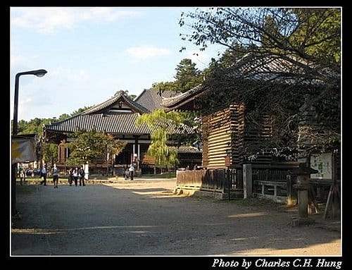 日本浪漫四都–Day 1–奈良公園