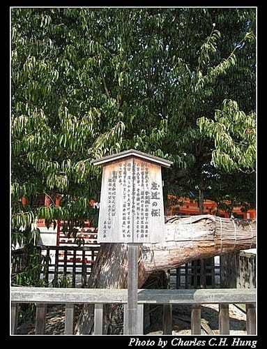 日本浪漫四都–Day 3–平安神宮 - 第18張圖 日本浪漫四都–Day 3–平安神宮