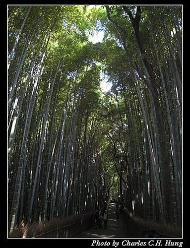 日本浪漫四都–Day 2–天龍寺 - 第3張圖 日本浪漫四都–Day 2–天龍寺