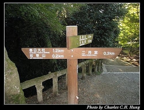 日本浪漫四都–Day 1–奈良公園